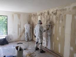 Reliable New Baltimore, OH Mold Removal Services Solutions